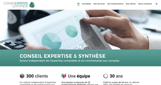 Conseil Expertise & Synthèse